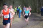 Rijen090301060391_small.jpg (3857 Byte)