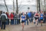 Rijen090301070082_small.jpg (3946 Byte)