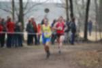 Rijen090301070111_small.jpg (3857 Byte)