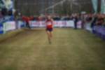 Rijen090301070210_small.jpg (3946 Byte)