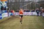 Rijen090301070217_small.jpg (3698 Byte)