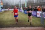 Rijen090301070408_small.jpg (3932 Byte)