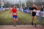 Rijen090301070409_small.jpg (3698 Byte)