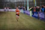 Rijen090301070416_small.jpg (3932 Byte)