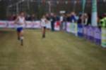 Rijen090301070419_small.jpg (3857 Byte)