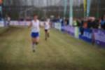 Rijen090301070422_small.jpg (3946 Byte)