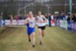 Rijen090301070426_small.jpg (3946 Byte)