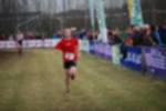 Rijen090301070432_small.jpg (3932 Byte)