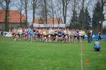 Reusel090404020157_small.jpg (3698 Byte)