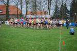 Reusel090404020158_small.jpg (3946 Byte)