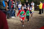 Ironman091025010068_small.jpg (3932 Byte)