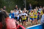 Ironman091025010154_small.jpg (3946 Byte)