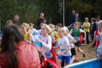 Ironman091025010156_small.jpg (3932 Byte)