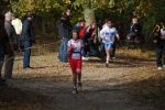 Ironman091025010221_small.jpg (3698 Byte)