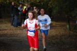 Ironman091025010224_small.jpg (3932 Byte)