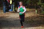 Ironman091025010234_small.jpg (3946 Byte)