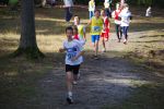 Ironman091025010291_small.jpg (3857 Byte)