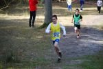 Ironman091025010301_small.jpg (3698 Byte)