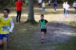 Ironman091025010302_small.jpg (3946 Byte)