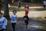 Ironman091025010311_small.jpg (3857 Byte)