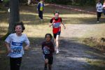 Ironman091025010312_small.jpg (3932 Byte)