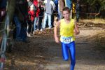 Ironman091025010339_small.jpg (3857 Byte)