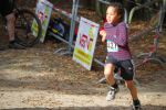 Ironman091025020019_small.jpg (3857 Byte)