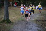 Ironman091025020082_small.jpg (3946 Byte)