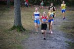 Ironman091025020083_small.jpg (3857 Byte)