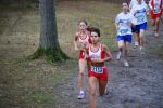 Ironman091025020092_small.jpg (3932 Byte)