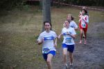 Ironman091025020095_small.jpg (3857 Byte)