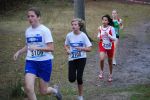 Ironman091025020097_small.jpg (3698 Byte)