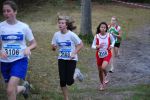 Ironman091025020098_small.jpg (3946 Byte)