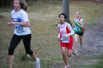 Ironman091025020099_small.jpg (3857 Byte)