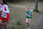 Ironman091025020100_small.jpg (3932 Byte)