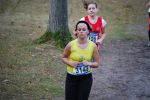 Ironman091025020104_small.jpg (3932 Byte)