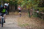 Ironman091025020112_small.jpg (3932 Byte)