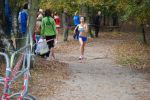 Ironman091025020124_small.jpg (3932 Byte)