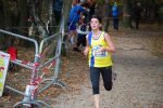 Ironman091025020131_small.jpg (3857 Byte)