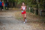 Ironman091025020144_small.jpg (3932 Byte)