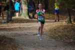 Ironman091025020146_small.jpg (3946 Byte)