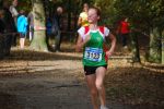 Ironman091025020147_small.jpg (3857 Byte)