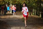 Ironman091025020153_small.jpg (3698 Byte)