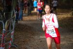 Ironman091025020154_small.jpg (3946 Byte)