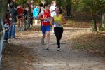 Ironman091025020155_small.jpg (3857 Byte)