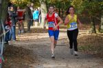 Ironman091025020156_small.jpg (3932 Byte)