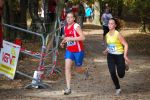 Ironman091025020158_small.jpg (3946 Byte)