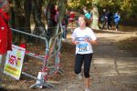 Ironman091025020163_small.jpg (3857 Byte)