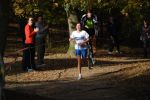 Ironman091025020169_small.jpg (3698 Byte)