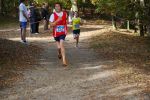 Ironman091025020247_small.jpg (3857 Byte)